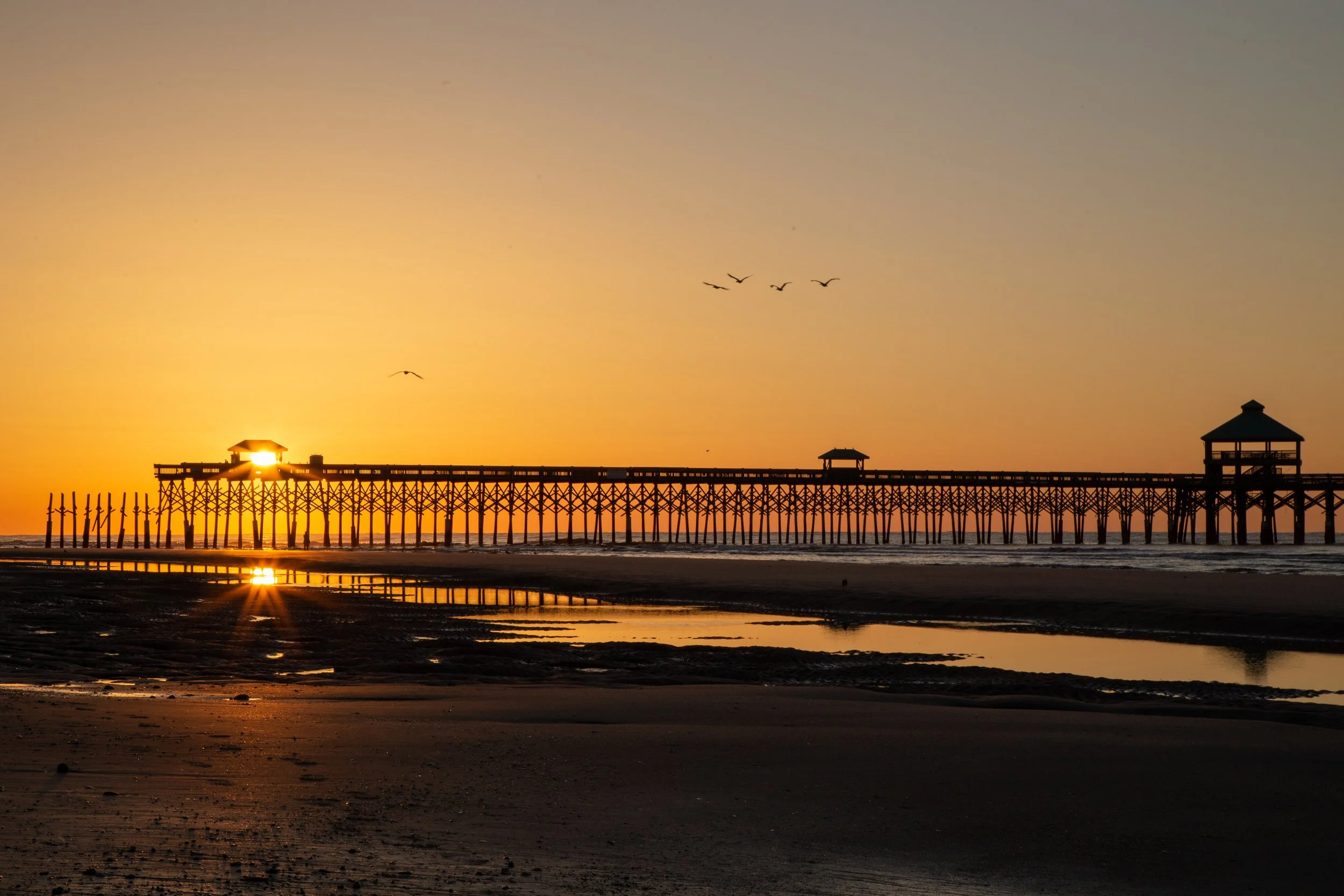 FOLLY (191 of 234).jpg