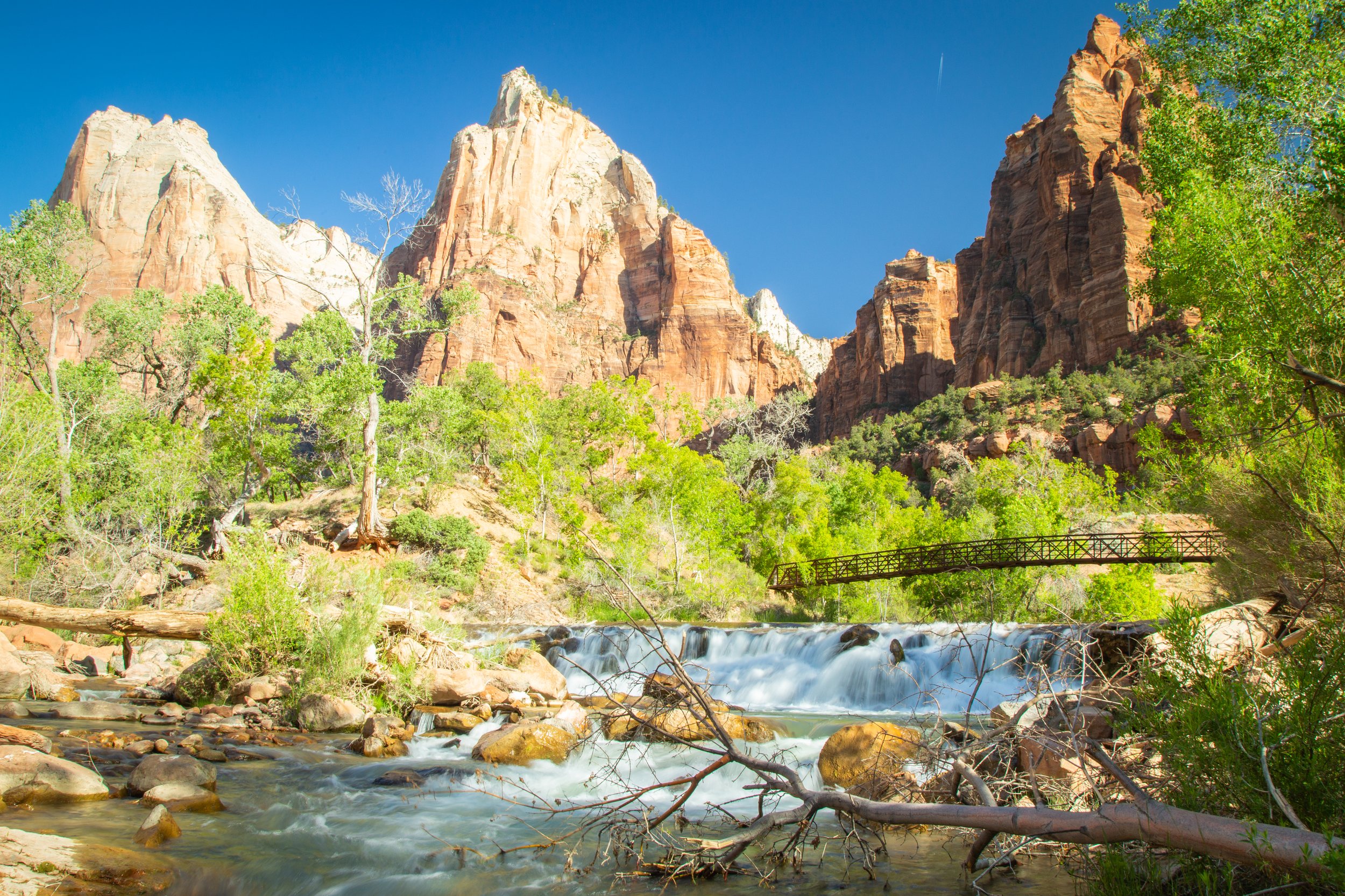 ZION (47 of 148).jpg