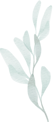 A watercolor illustration of a plant with green leaves and a single tall stem.