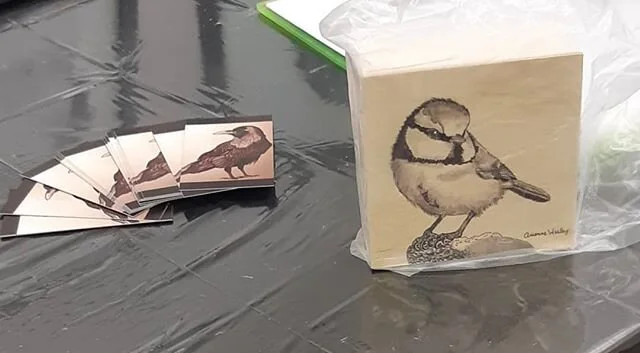 This little bird found its forever home yesterday :)