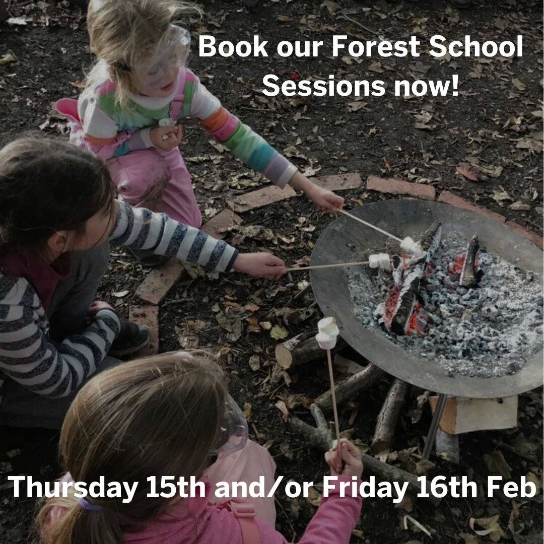 Visit our website to book your primary aged children into our popular Forest School Sessions.

9am-3pm
Tynings Primary School, Staple Hill

Sibling discount and multiple day discount.

Snacks and drinks available. Bring packed lunch and appropriate c