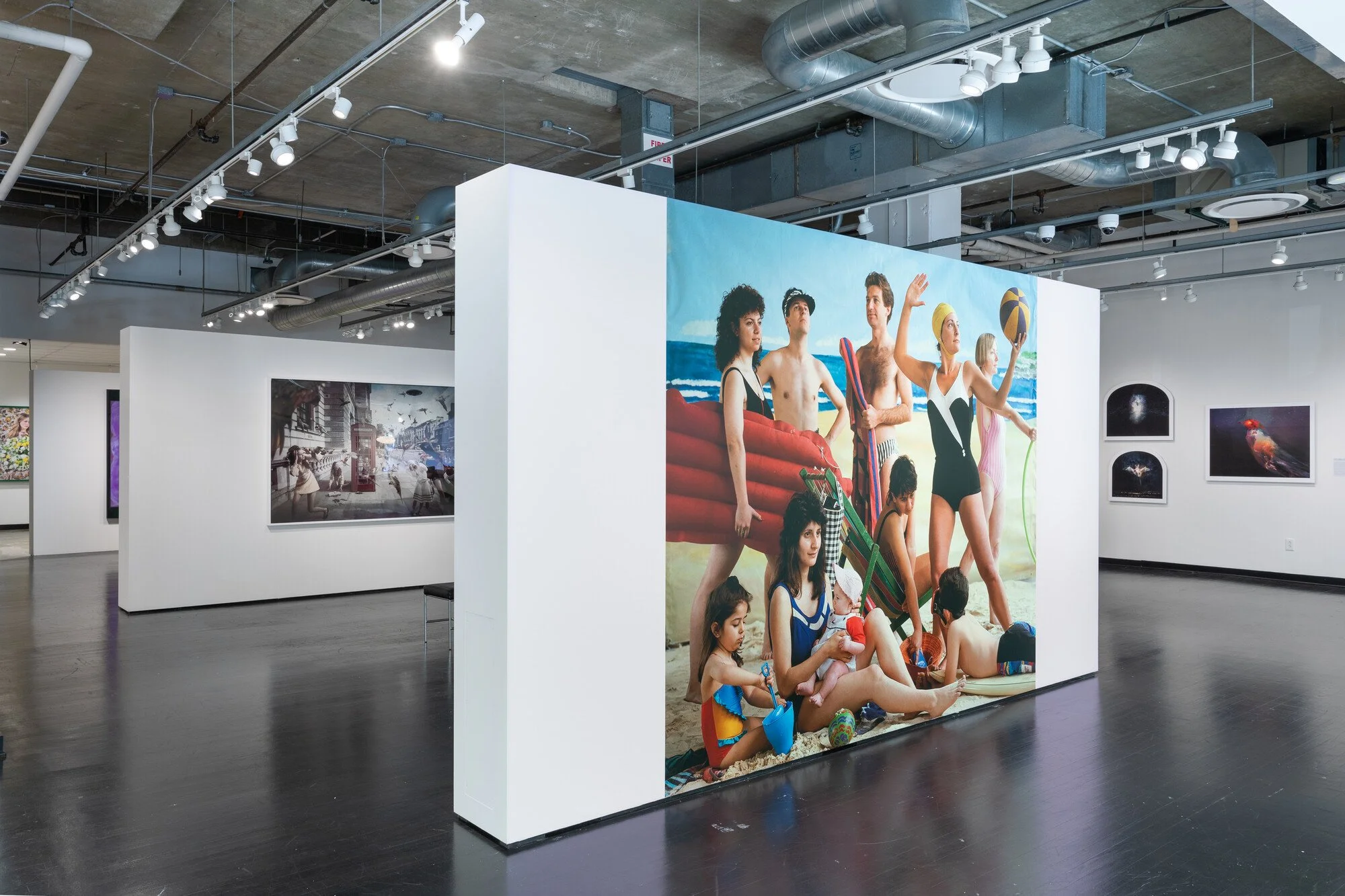 Under a Southern Star | Princeton University Art Museum |  2024