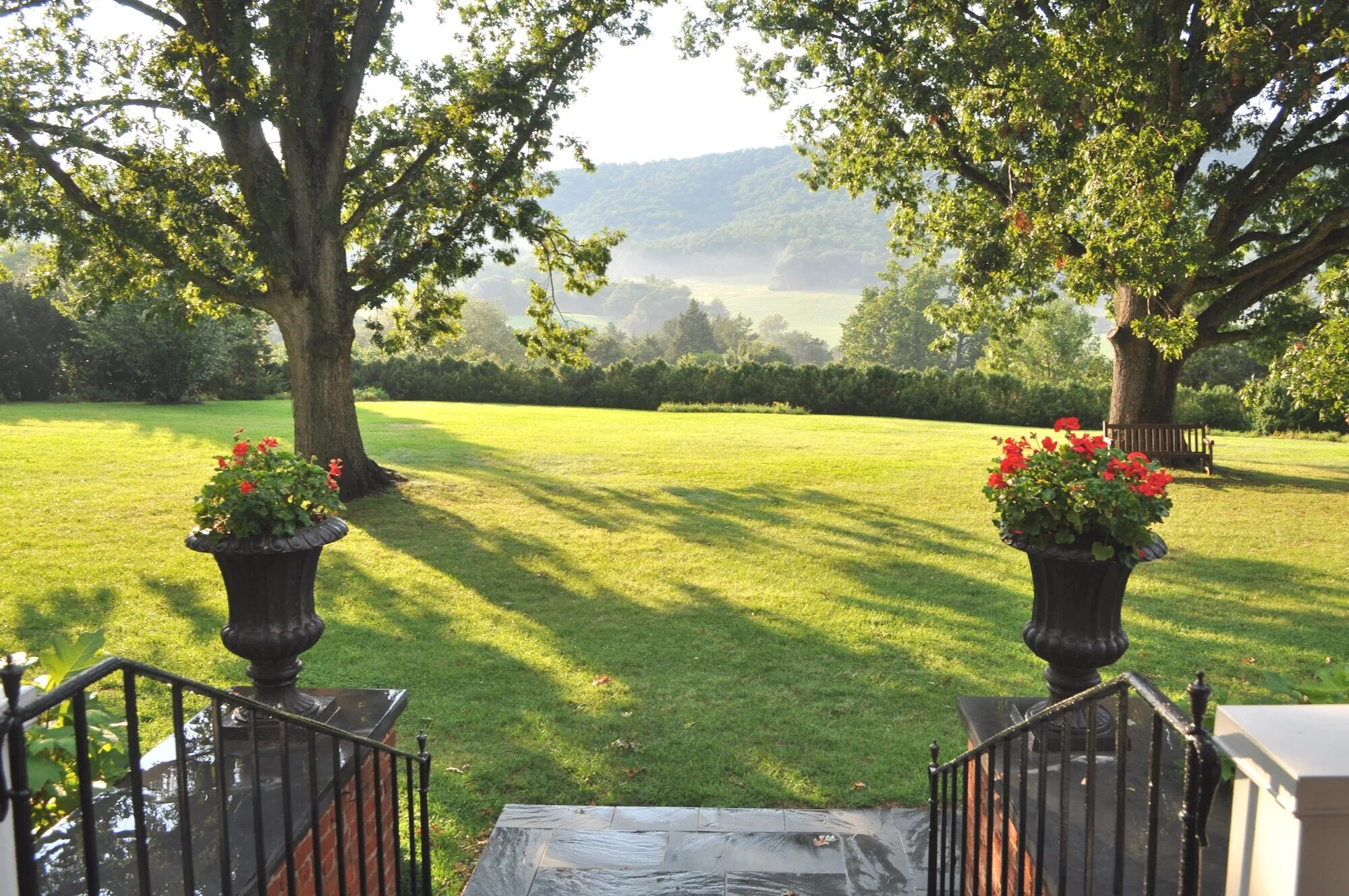 The view from the Main House terrace, looking out over the green back yard with large oak trees.