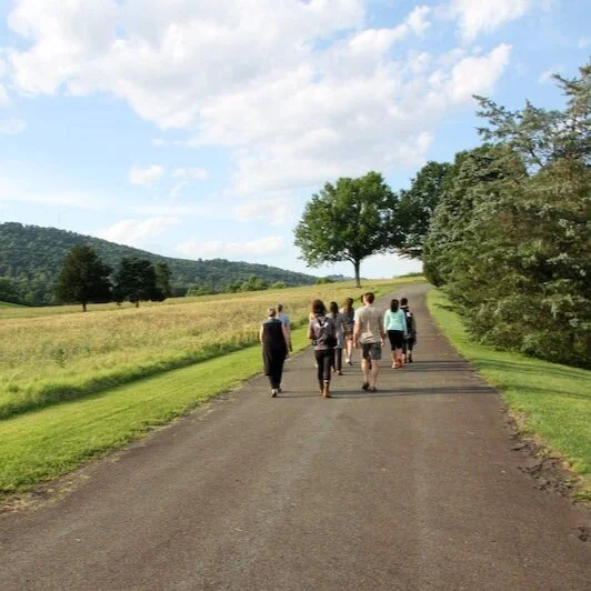 A group of students walk along a paved road at Morven - the road is lined with trees on the rights and open grassy fields on the left. The student walk away from the camera.