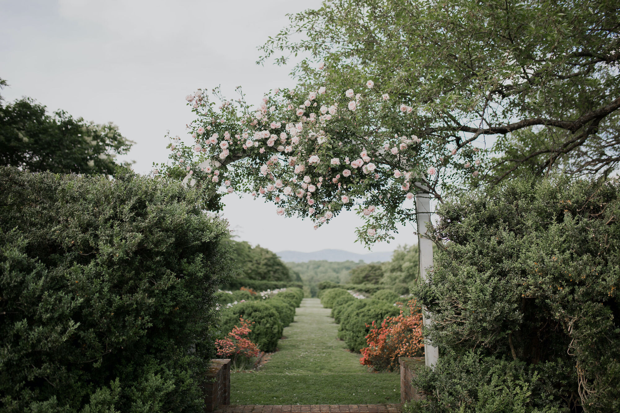 Formal Gardens at Morven — Morven