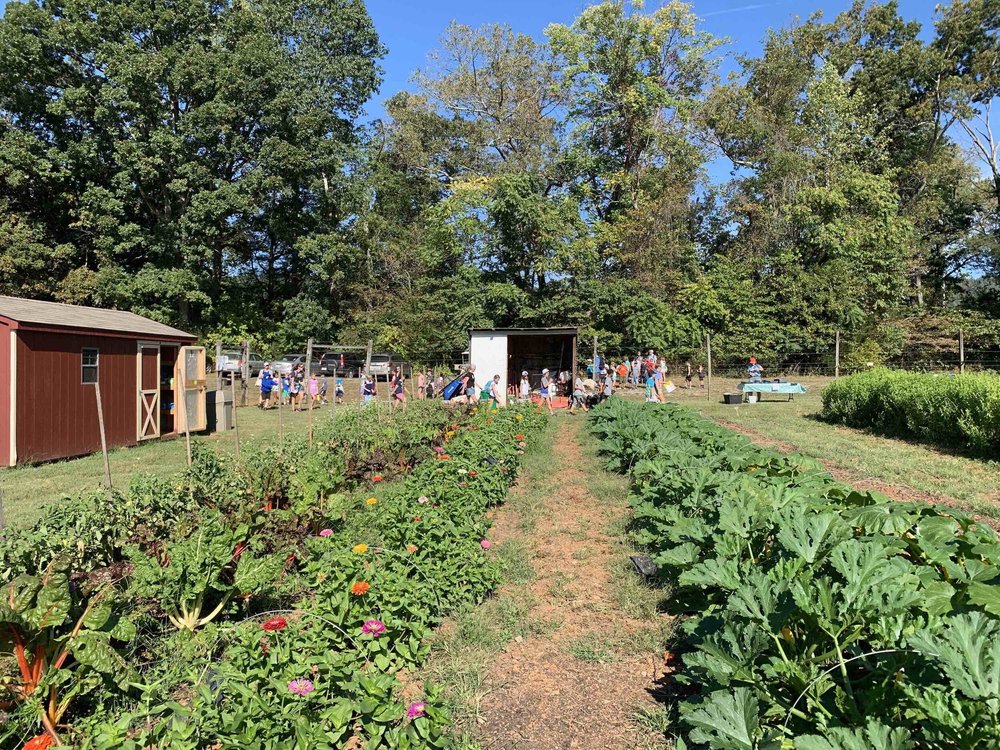 Morven Kitchen Garden — Morven