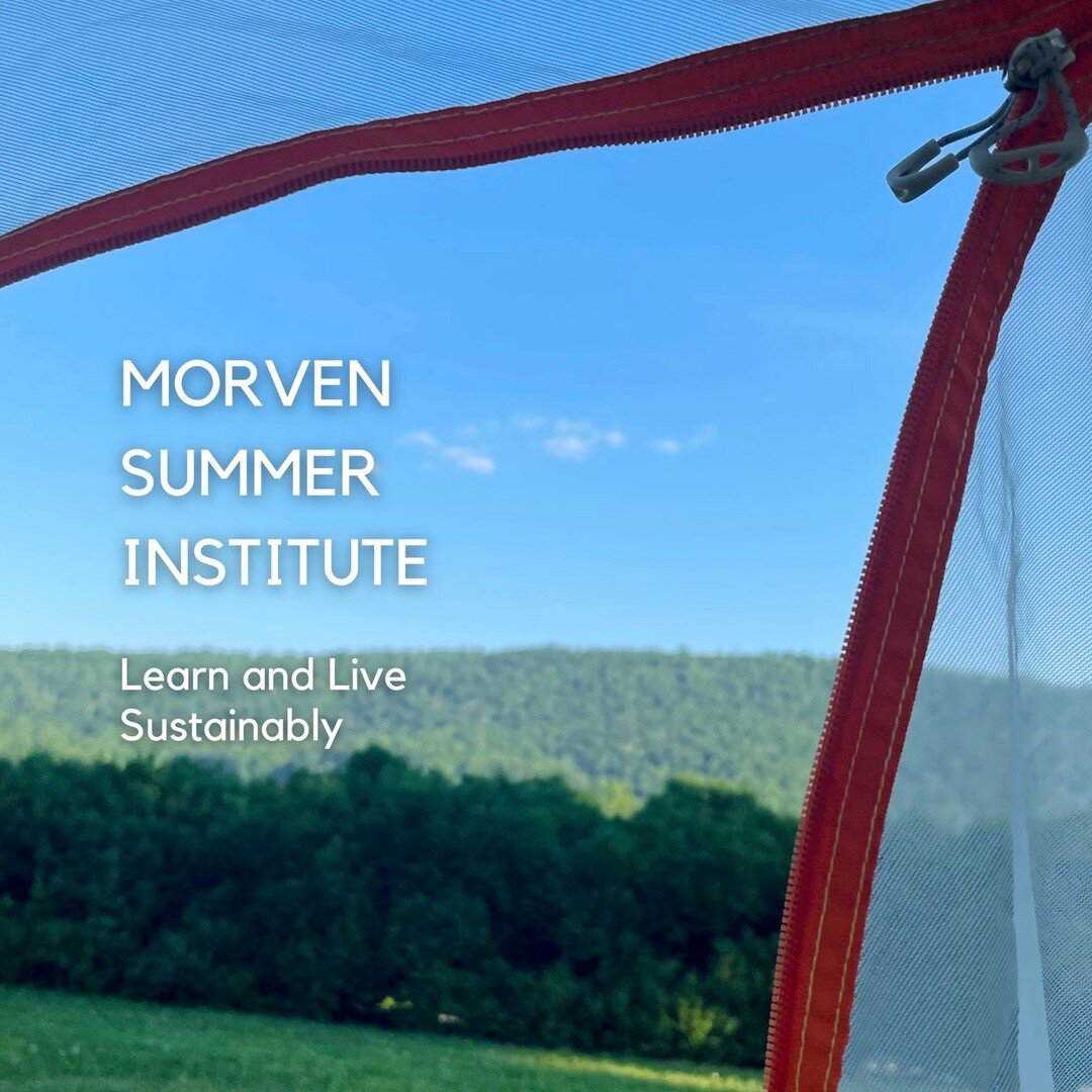 Have you ever imagined where an outdoor classroom could take you? Try an afternoon amongst the vivacious blooms of the formal gardens or a tranquil morning among the waterfalls at the Japanese garden. 

Morven Summer Institute offers three enriching 
