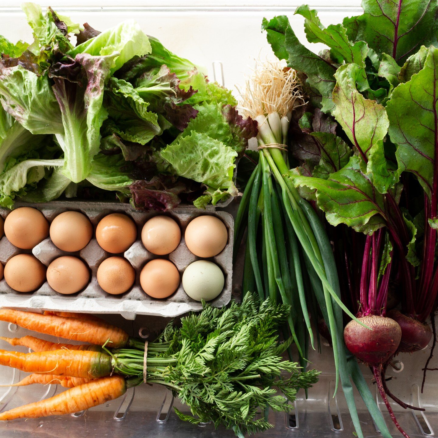 Today was the last day of our Spring Community-Supported Agriculture (CSA) program! Here's a sneak peek at one of our shares this week: beets, scallions, lettuce, carrots, and a dozen eggs. Up next: our Summer CSA program!