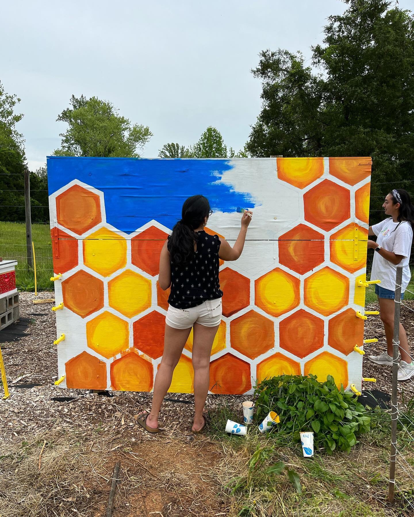 We are almost done with our mural! Last chance to leave your mark on MKG by helping us paint our bee area walls this Tuesday 3-5pm! Register at the volunteering link in our bio!