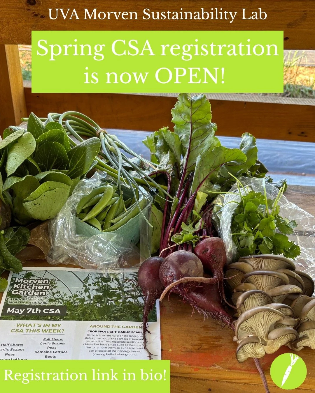 MKG&rsquo;s Spring CSA Registration is now open!!

Link to register in our Linktree in Bio.

We are so excited to start the new year with our better-than-ever CSA! Our ten-week Spring CSA will run from February 9th - April 20th. Membership includes 4