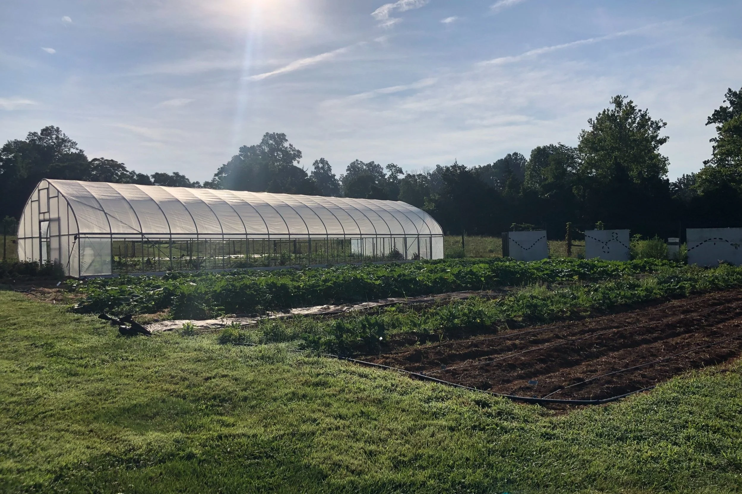 Morven Kitchen Garden — Morven