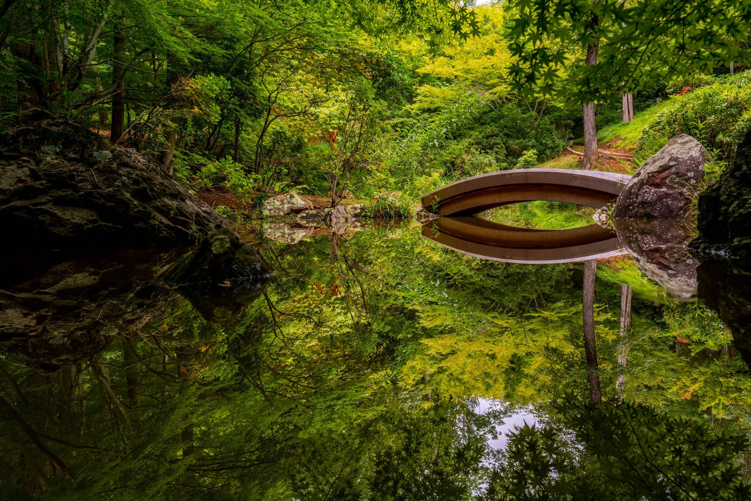 The small arching bridge to the pond island, reflected in a pond surrounded by lush greenery in the Morven Japanese garden.