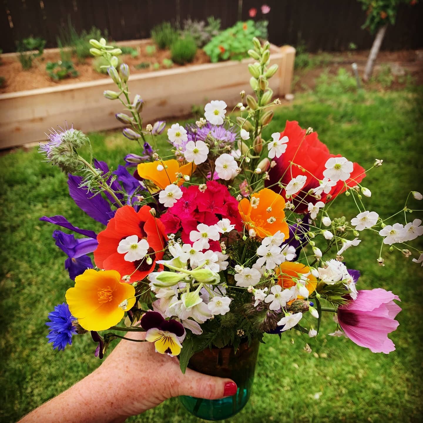 What's more fun than growing your own flowers? Watching your clients grow theirs!! I did the retrofit irrigation for raised beds but @mollymollusk did all the rest 💪🏼 #waterwhysirrigation #waterwhys #dripirrigation #cutflowers