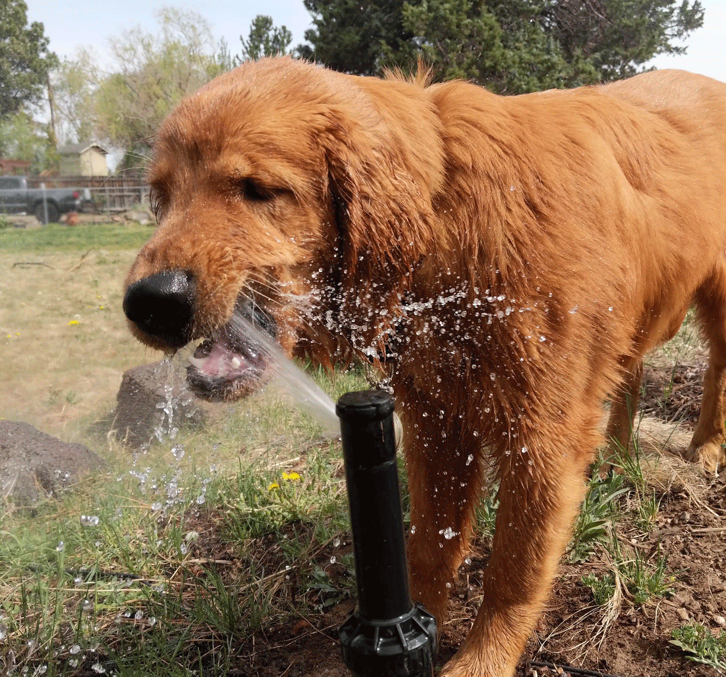 Welcome to the Water Whys Blog