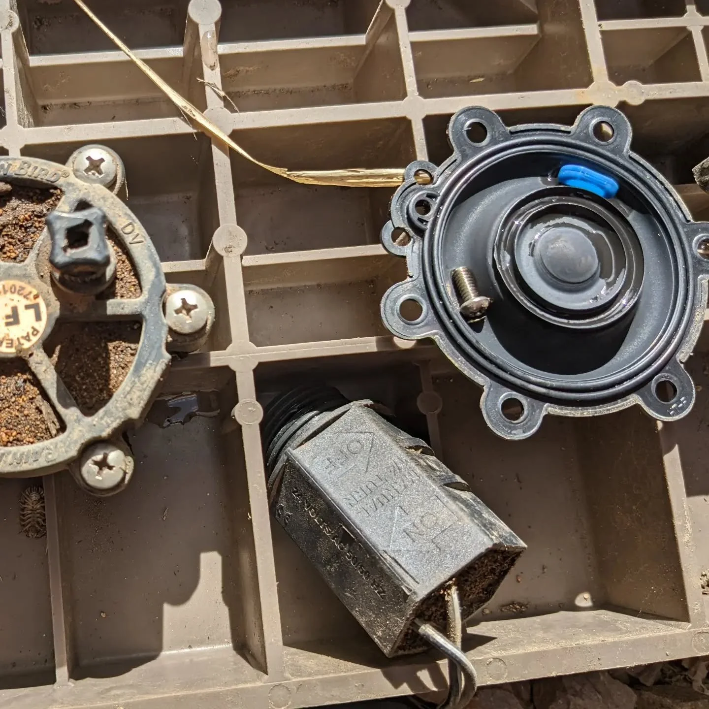 A valve can stick open for a number of reasons, a random screw in the mainline has never been one that I considered before #waterwhysirrigation #waterwhys #rainbird #irrigationvalve