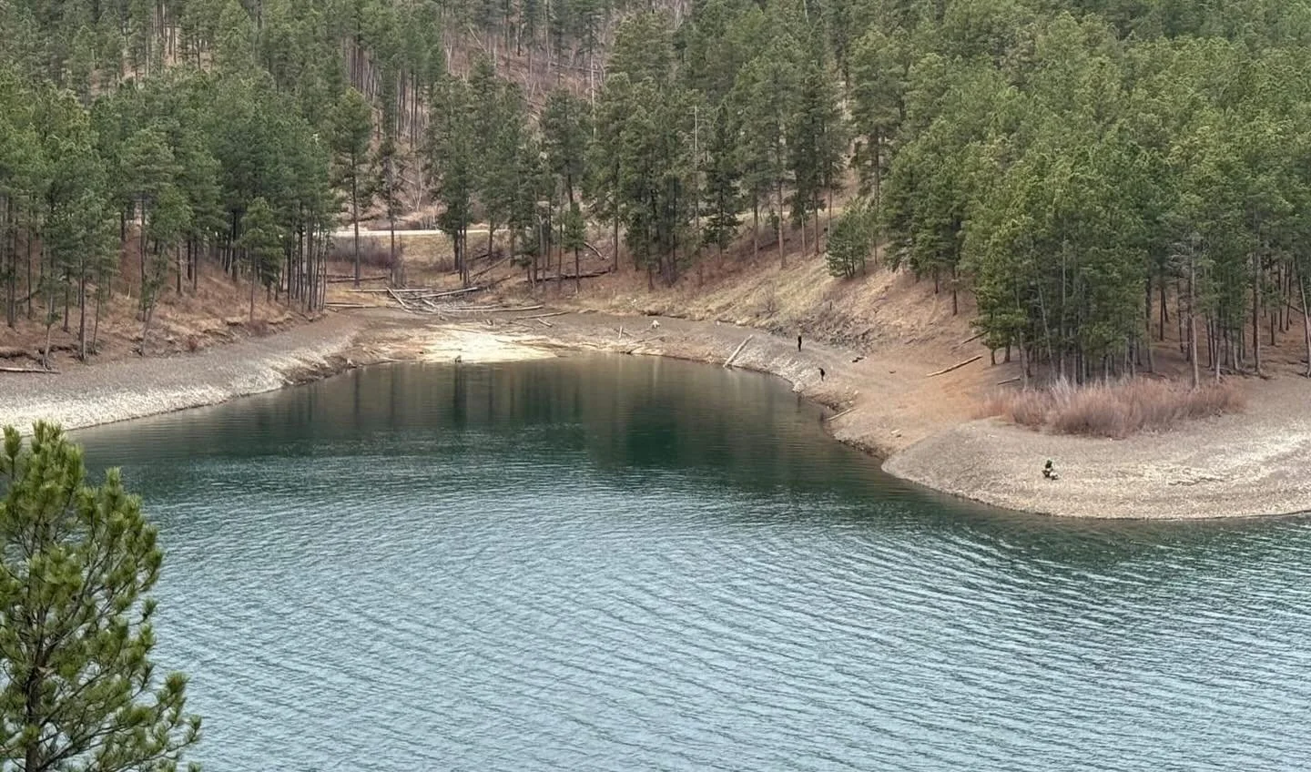 Check out our latest blog post, Water Drops: News &amp; Updates. Link in bio.