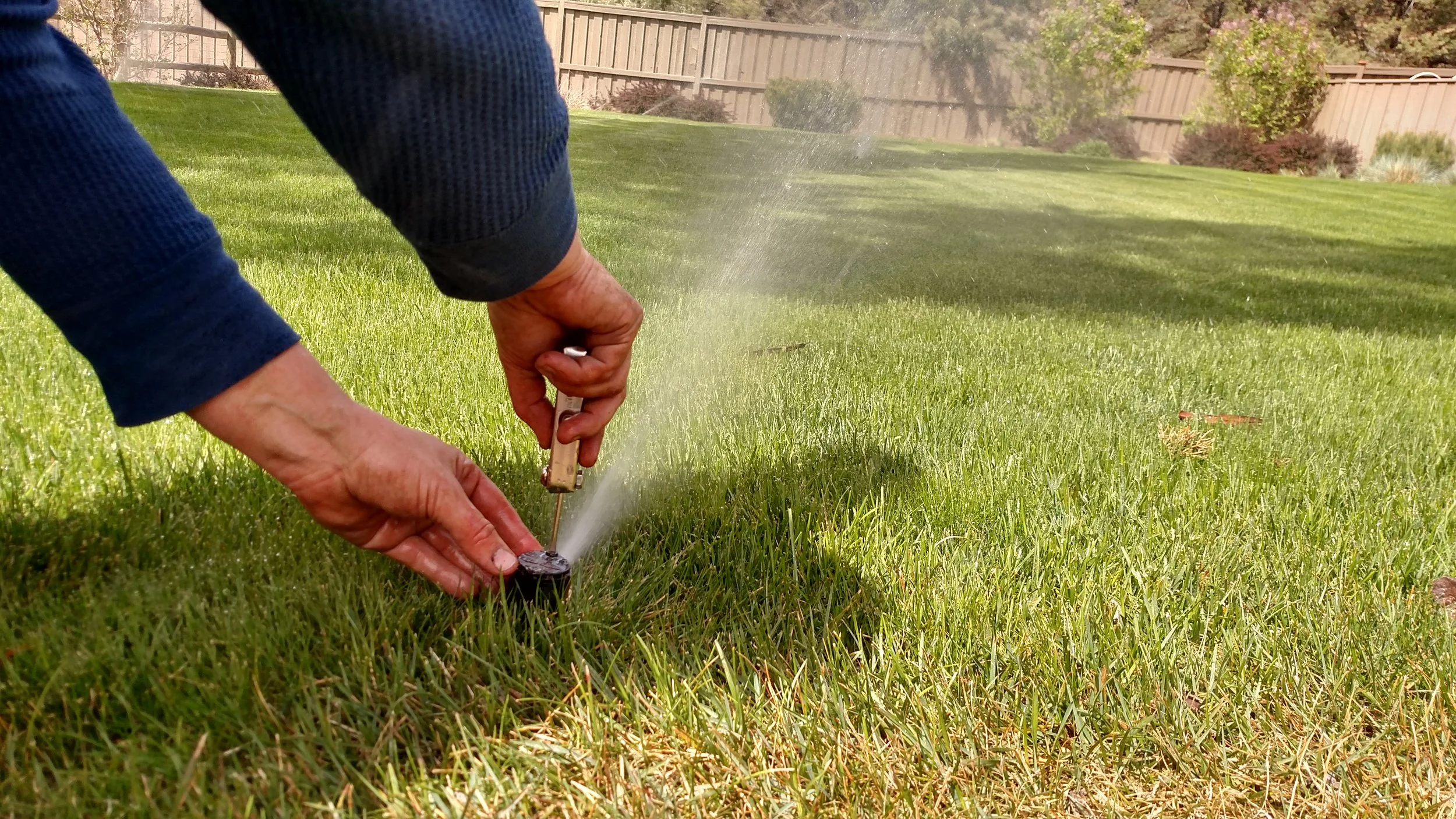 Landscape Tips: Time to Turn on Your Irrigation System