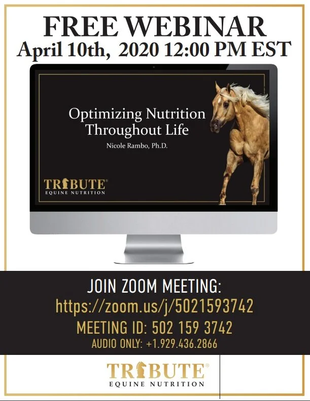 Free+Horse+Webinar.jpg