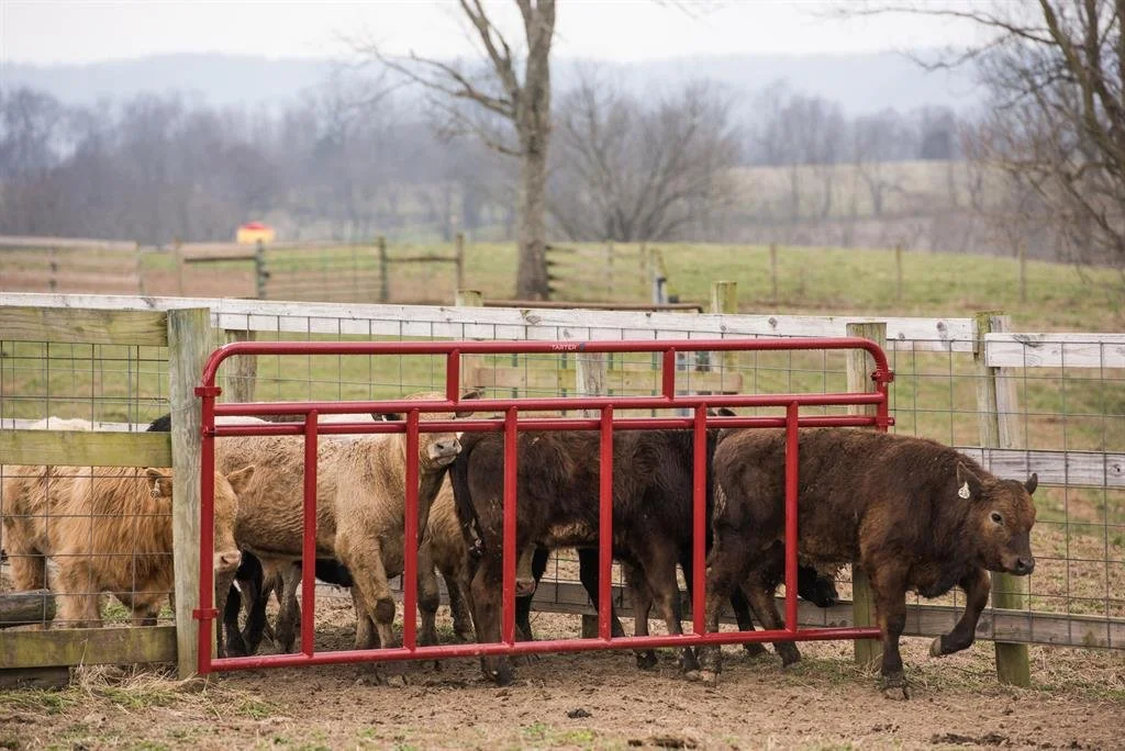 Cattle_2RRCF12_2RRCF12_12'CreepFeederPanel_L-04-size-1024.jpg