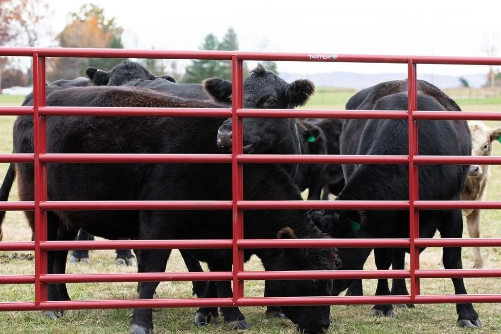 Gates_Steelmax Stock Gate_RRB16_SteelMaxStockGate_L-03-size-1024.jpg