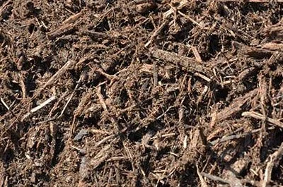 mulch.jpg