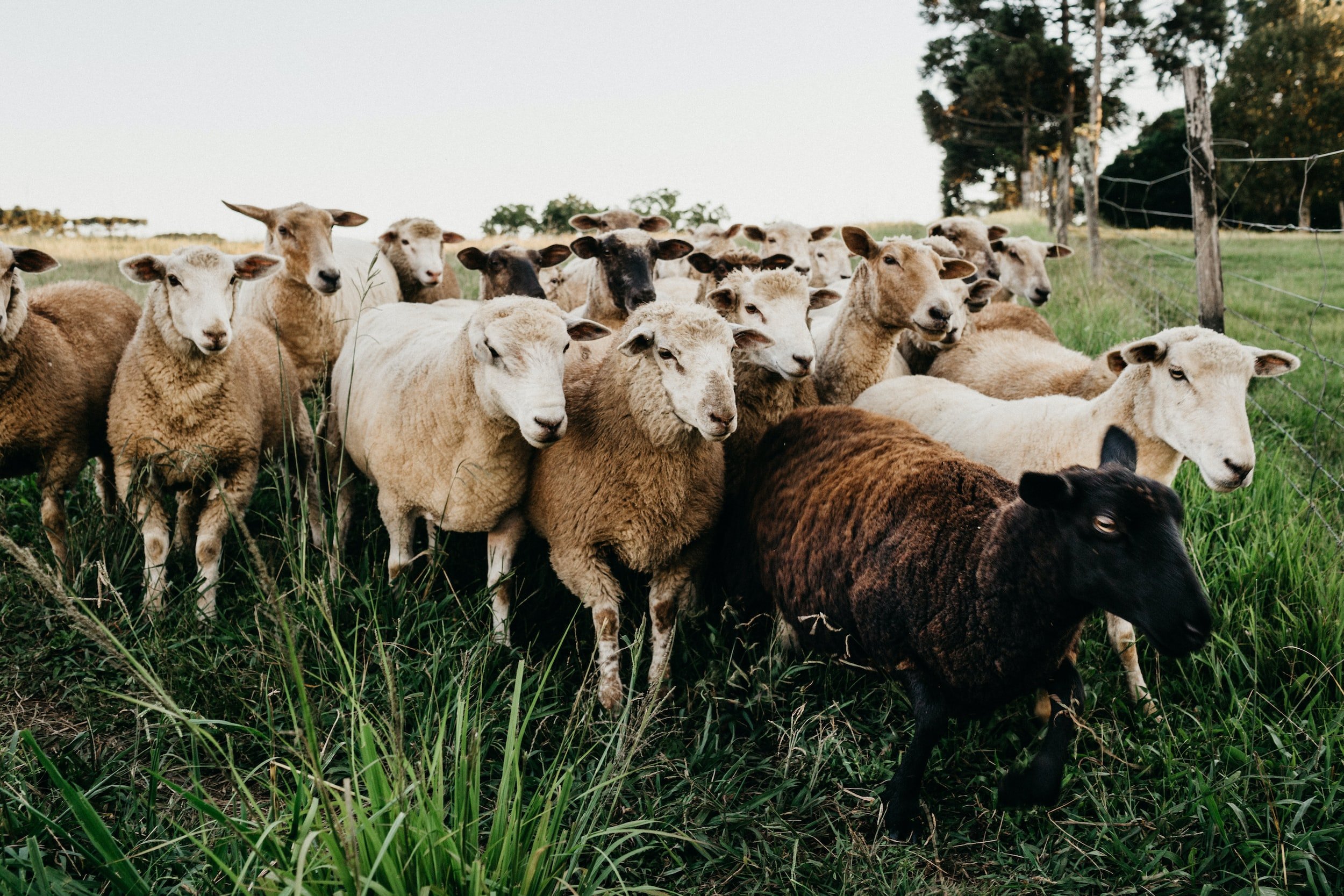 unsplash-image-Omw6KHQIXYk.jpg