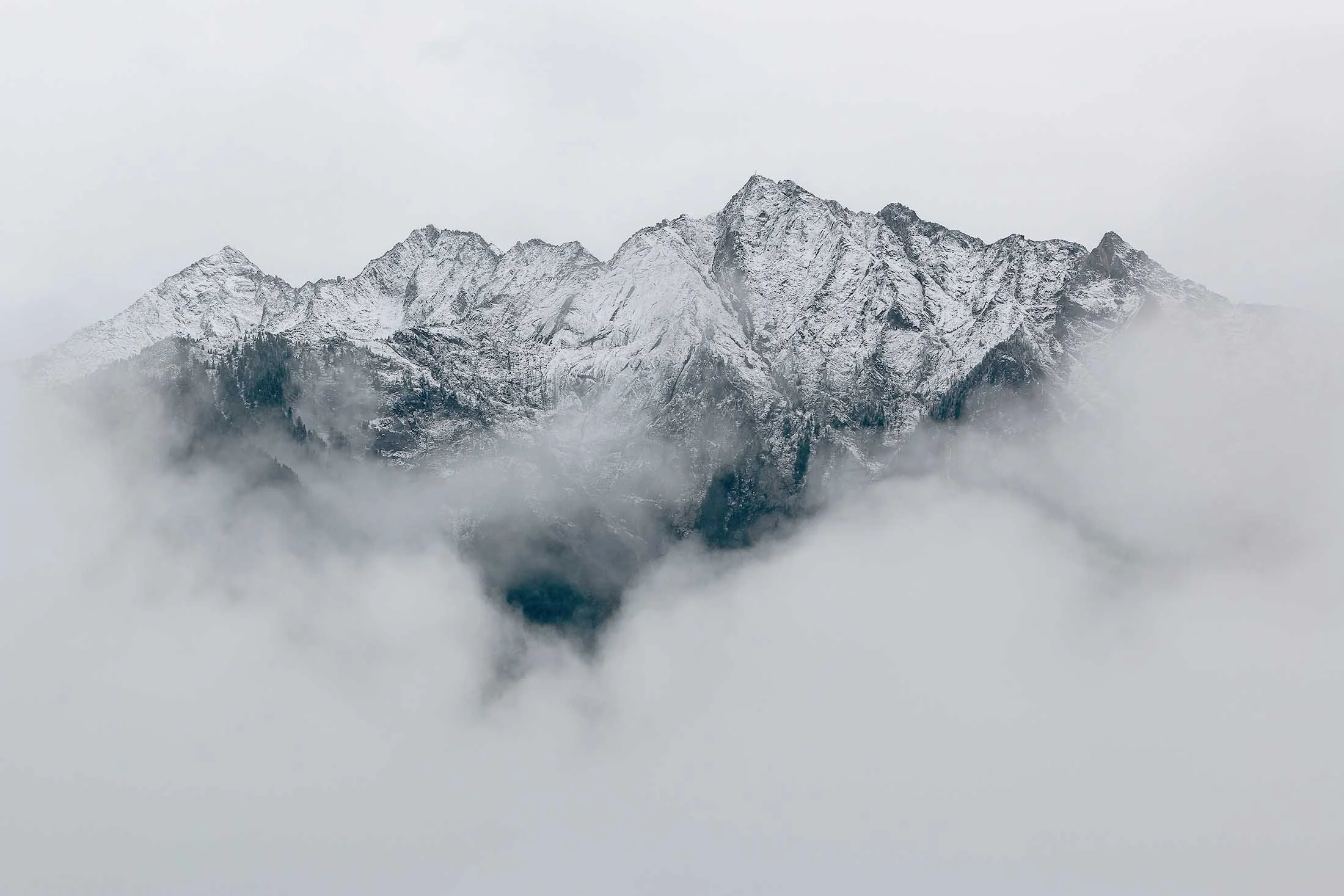 eberhard-grossgasteiger-y2azHvupCVo-unsplash2.jpg