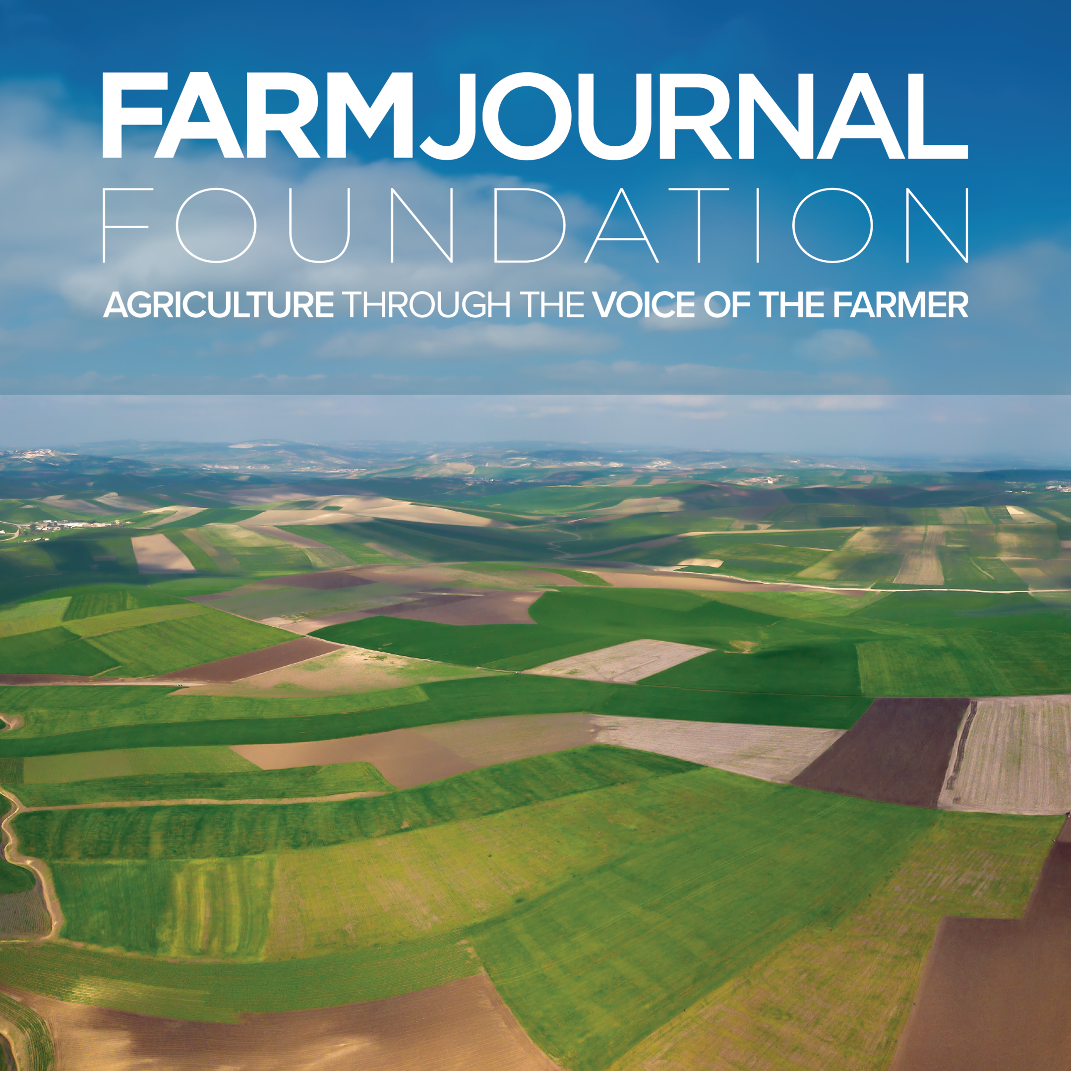 farm-journal-agricultural-foundation_processed_112b703f305d2eecb95f7374f15c1da669582dc9de7b0fead3f9702f4efa94bc_background_image-1.png