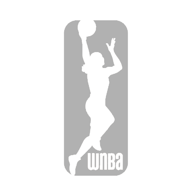WNBA_logo_grey.png