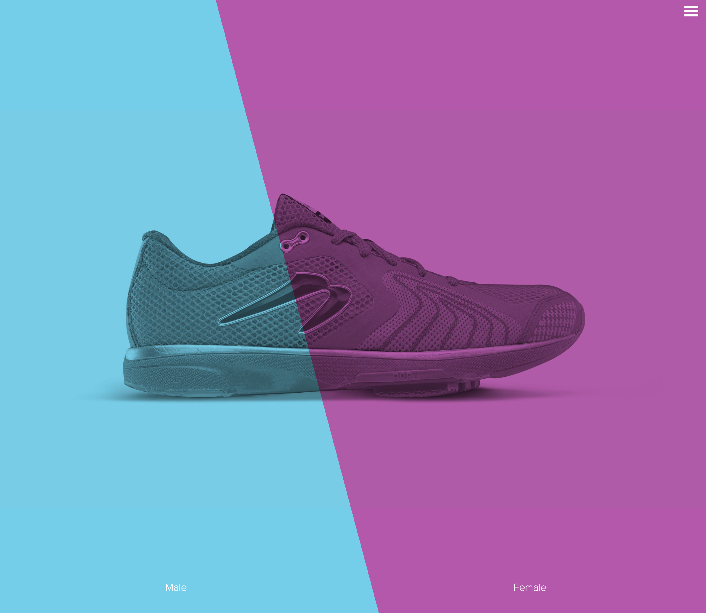 Newton Running