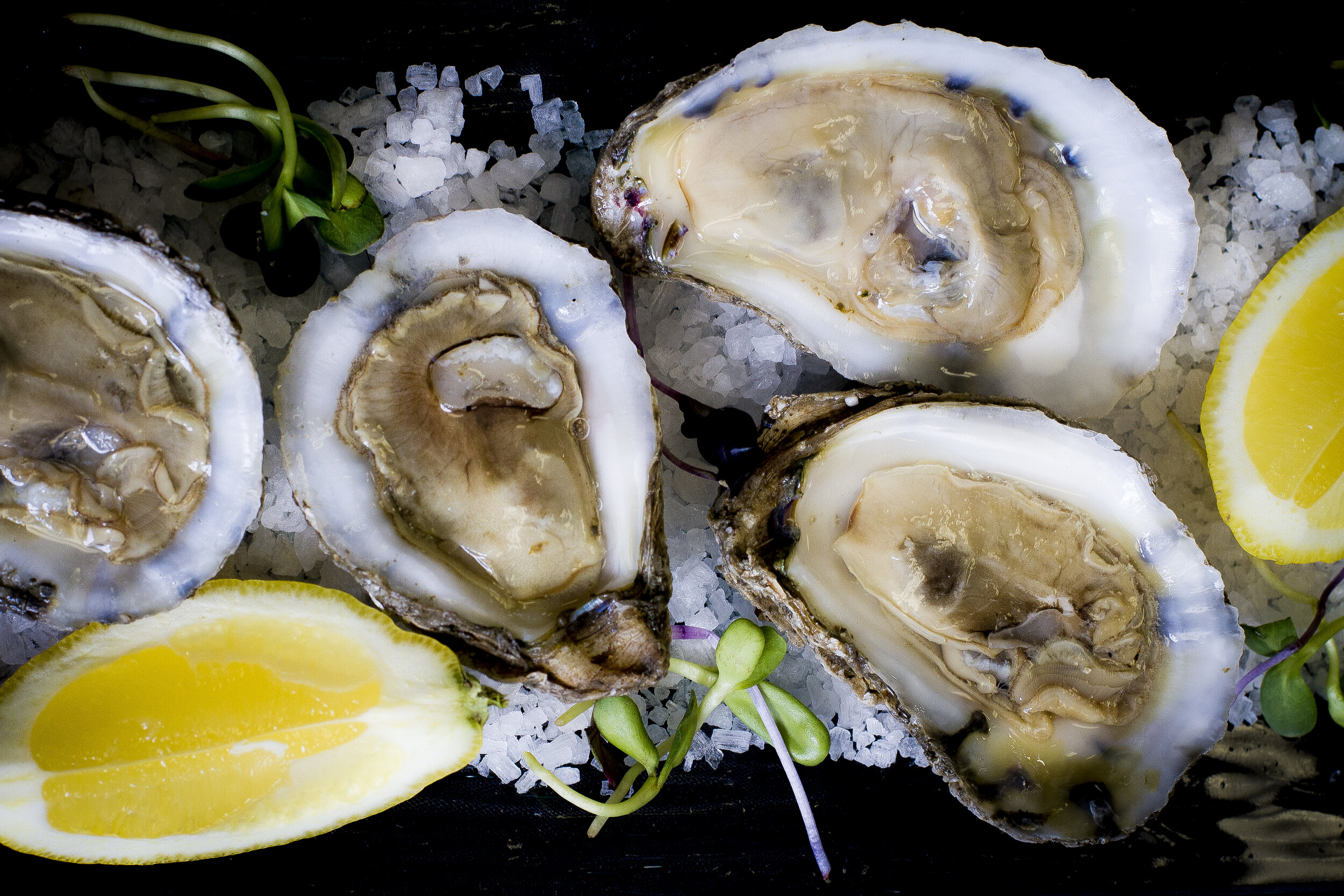 Oysters Buffet for Virginia Beach wedding catering