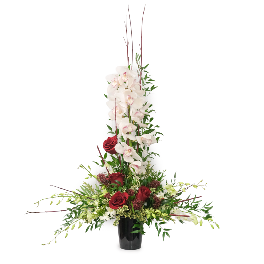 Enchanting Winter Orchid