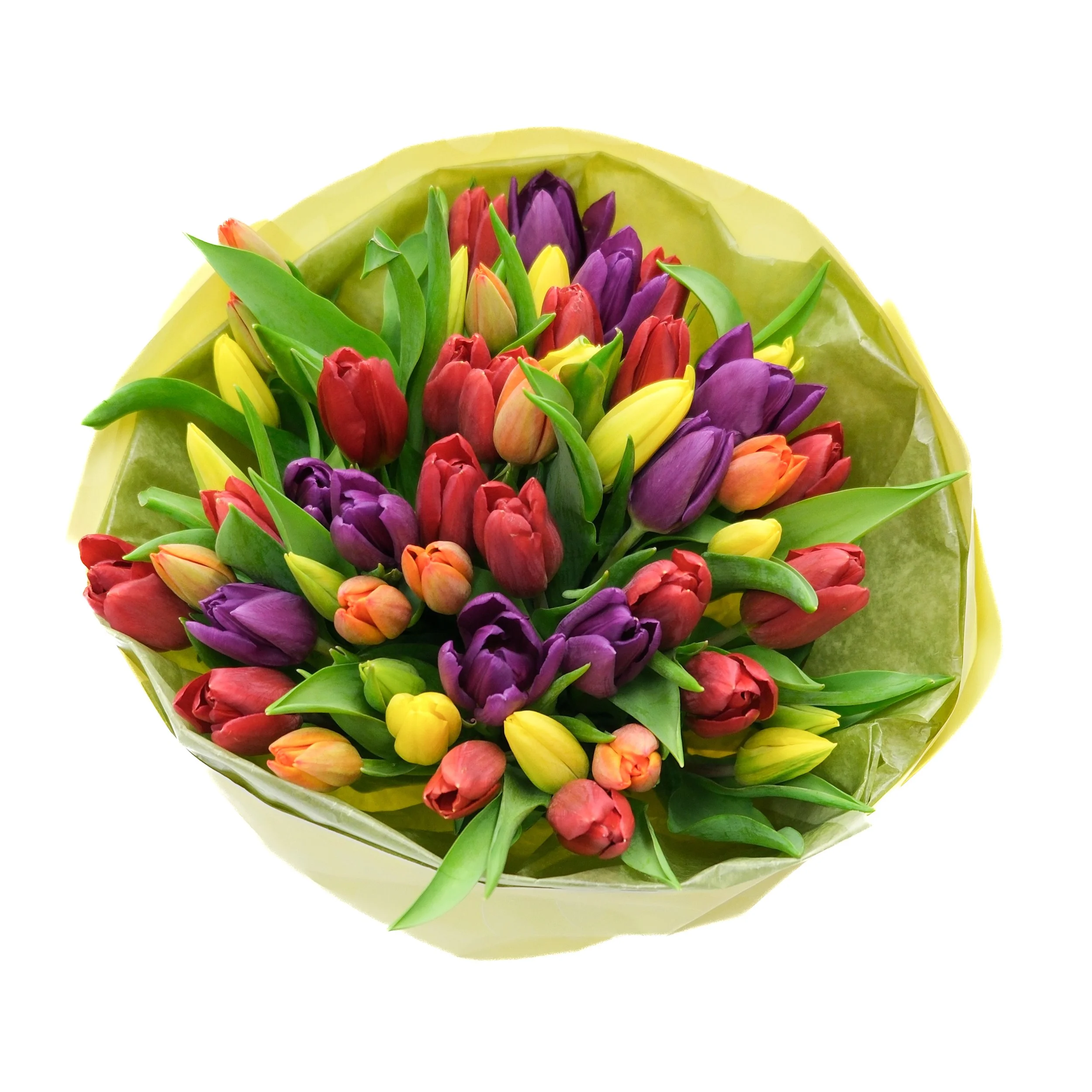 Tulip Bouquet