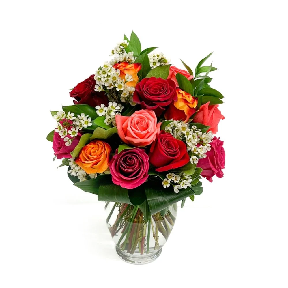 Classic Colourful Roses