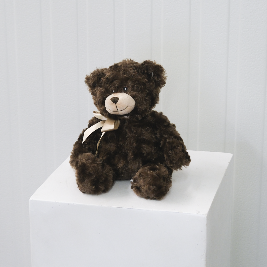FF_Teddy_Medium_RegularBear_Chocolate-2.png