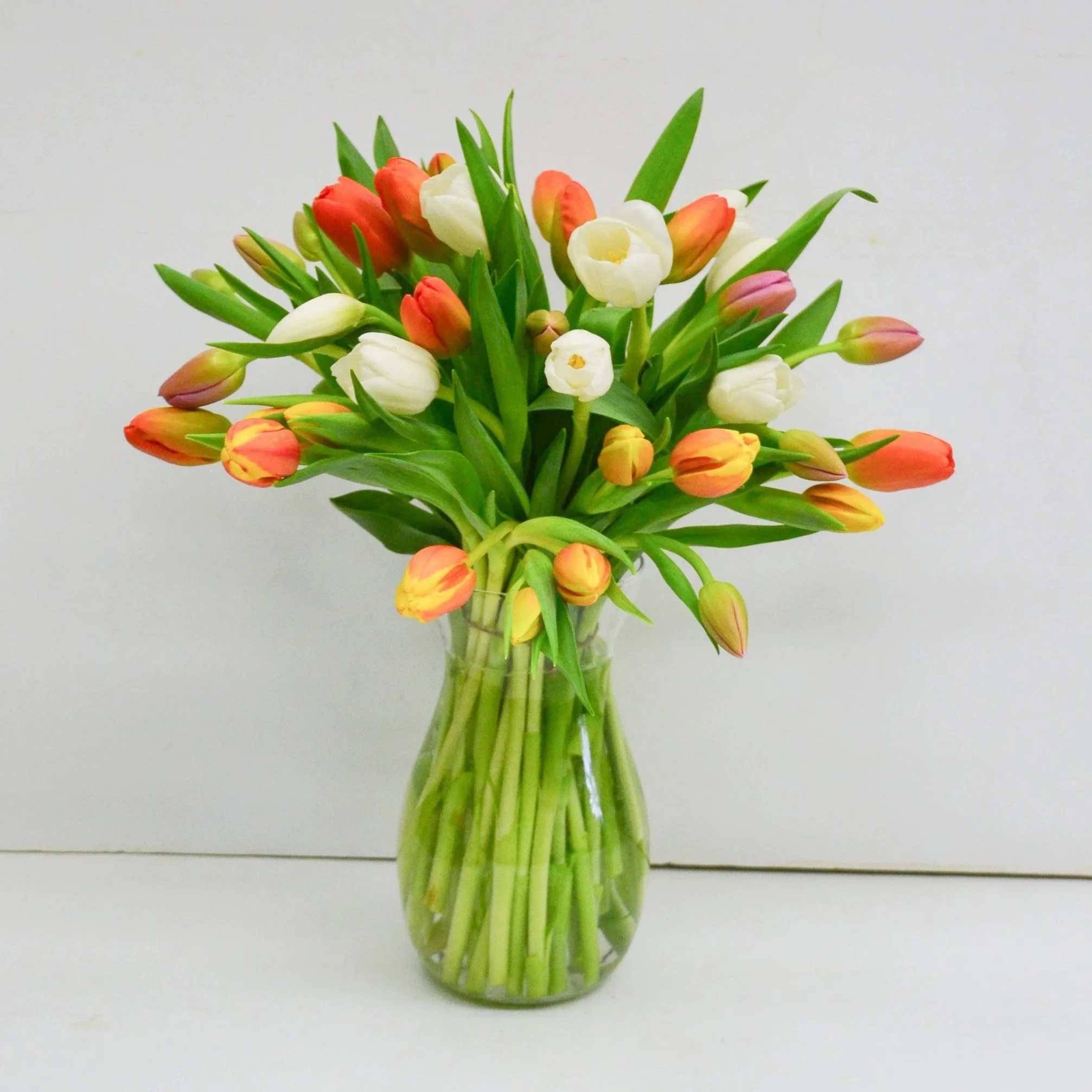 FF_TerrificTulipVase.jpg