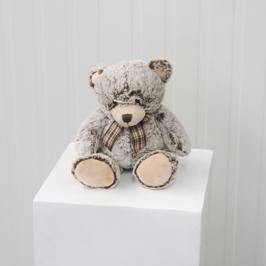 FF_Teddy_PlushBear-2.png
