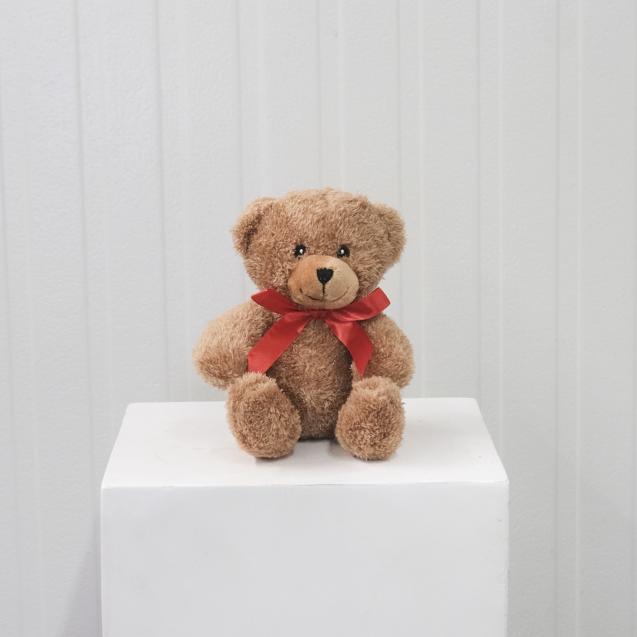 FF_Teddy_RedBowBear-3.png