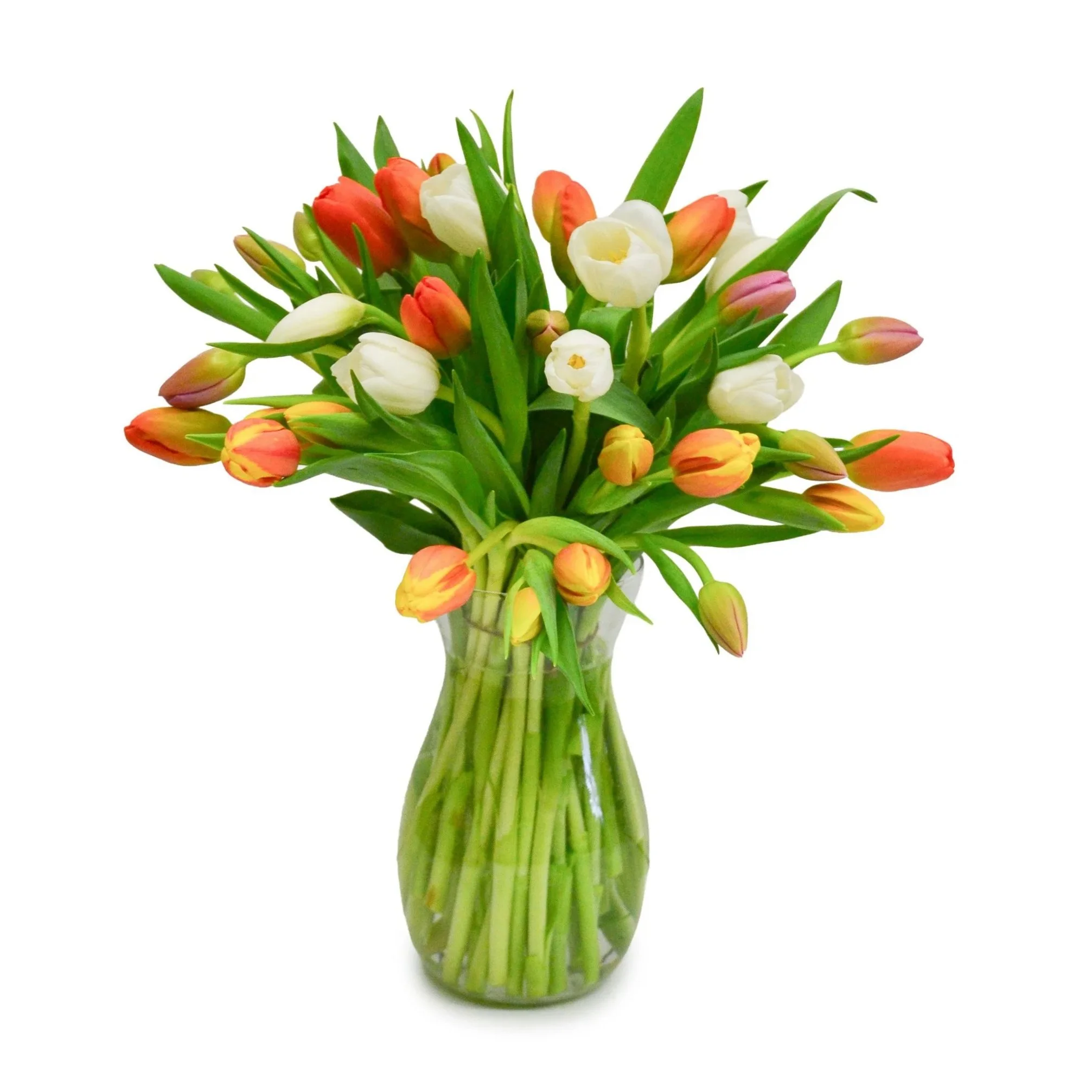 Terrific Tulip Vase