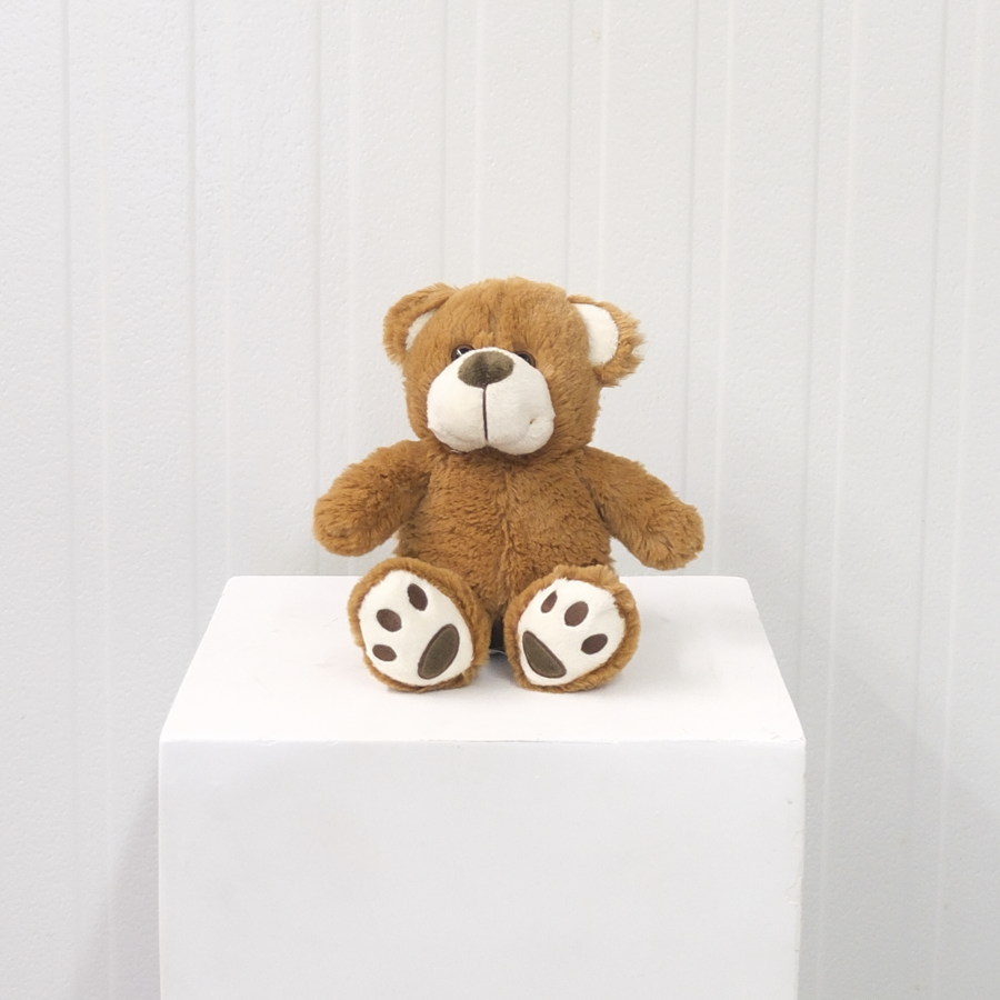 FF_Teddy_TeddyBear_Brown-3.png