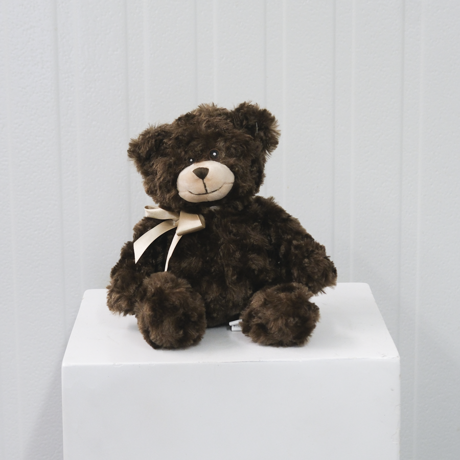 FF_Teddy_Medium_RegularBear_Chocolate-3.png