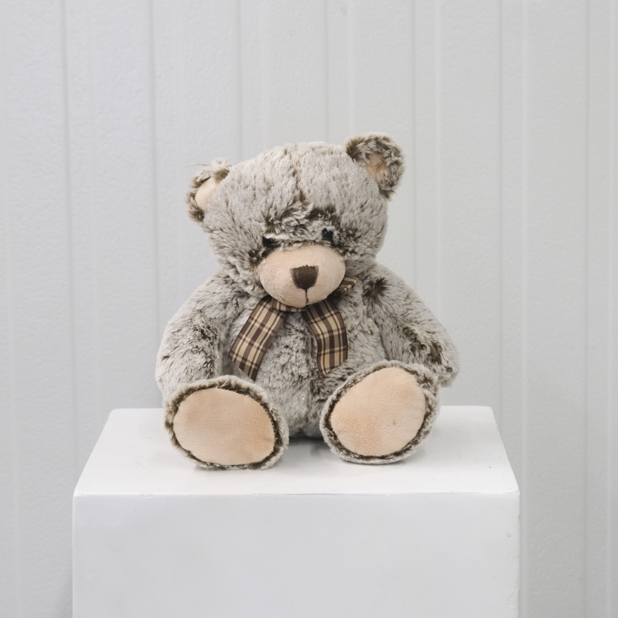 FF_Teddy_PlushBear-3.png (Copy)