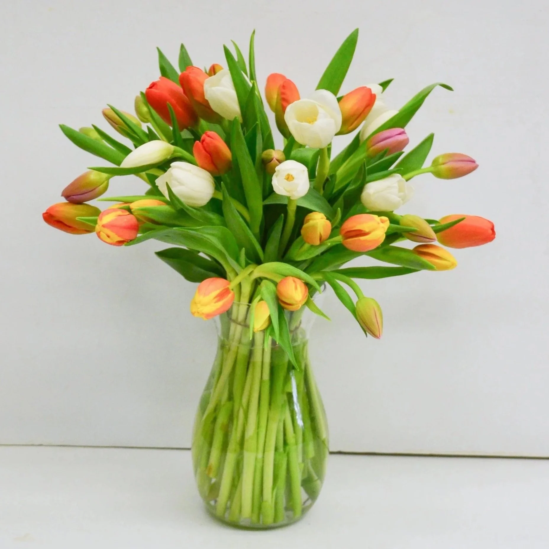 FF_TerrificTulipVase.jpg