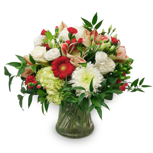 FF_WC_Alluring Amaryllis.png