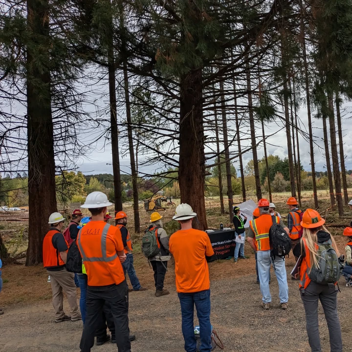 File this under &quot;dreams really do come true.&quot; Ultimate sweet spot and a peak moment for me as a consultant. Pulled together the &quot;Alternative Approaches to Woody Residue Management&quot; tour with a stellar team, at an ideal location, o