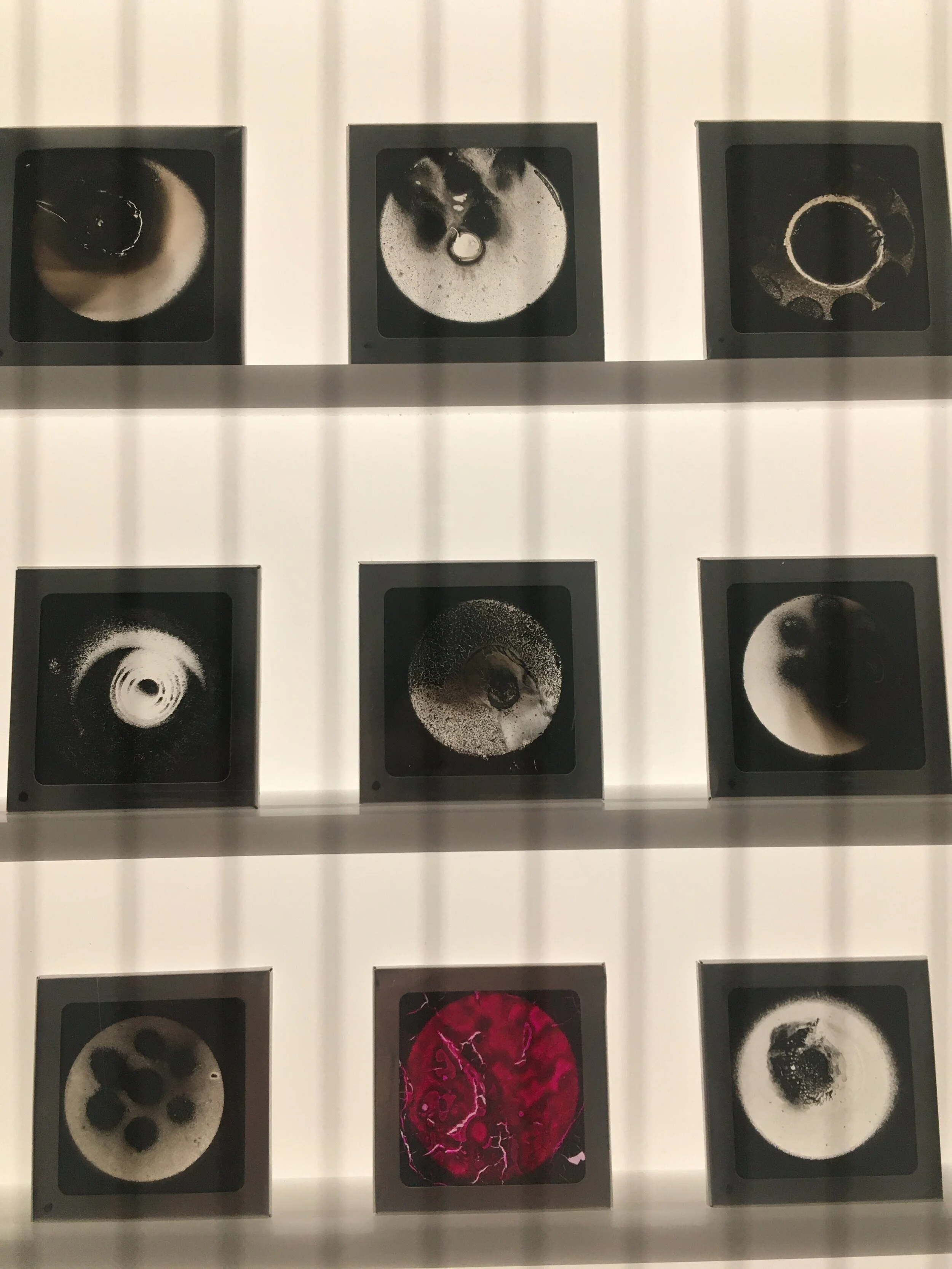 Aldo Tambellini Black Matters