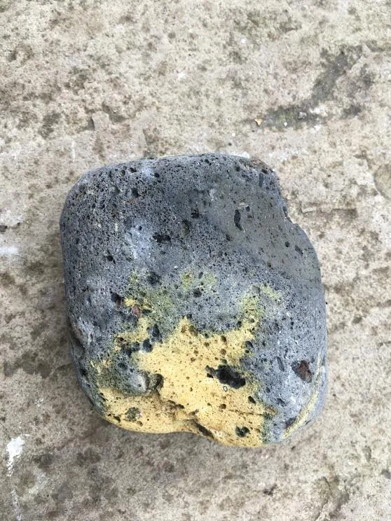 Volcanic Rock found in the Swale Estuary