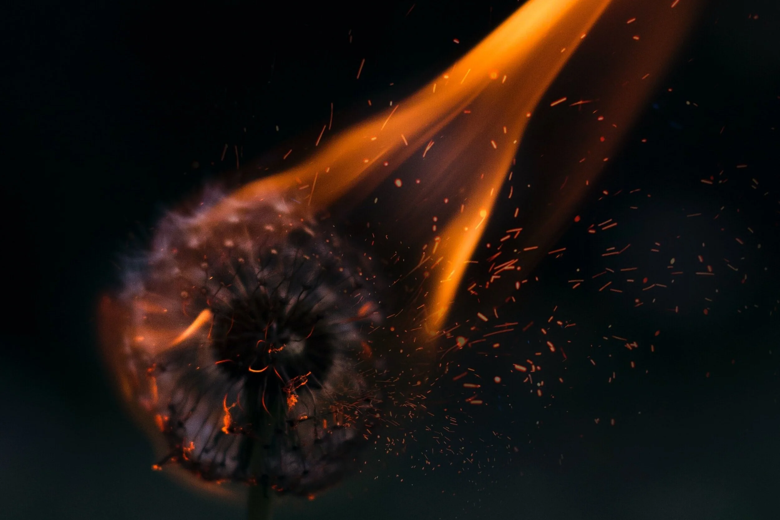 Photo by Henry Be on Unsplash