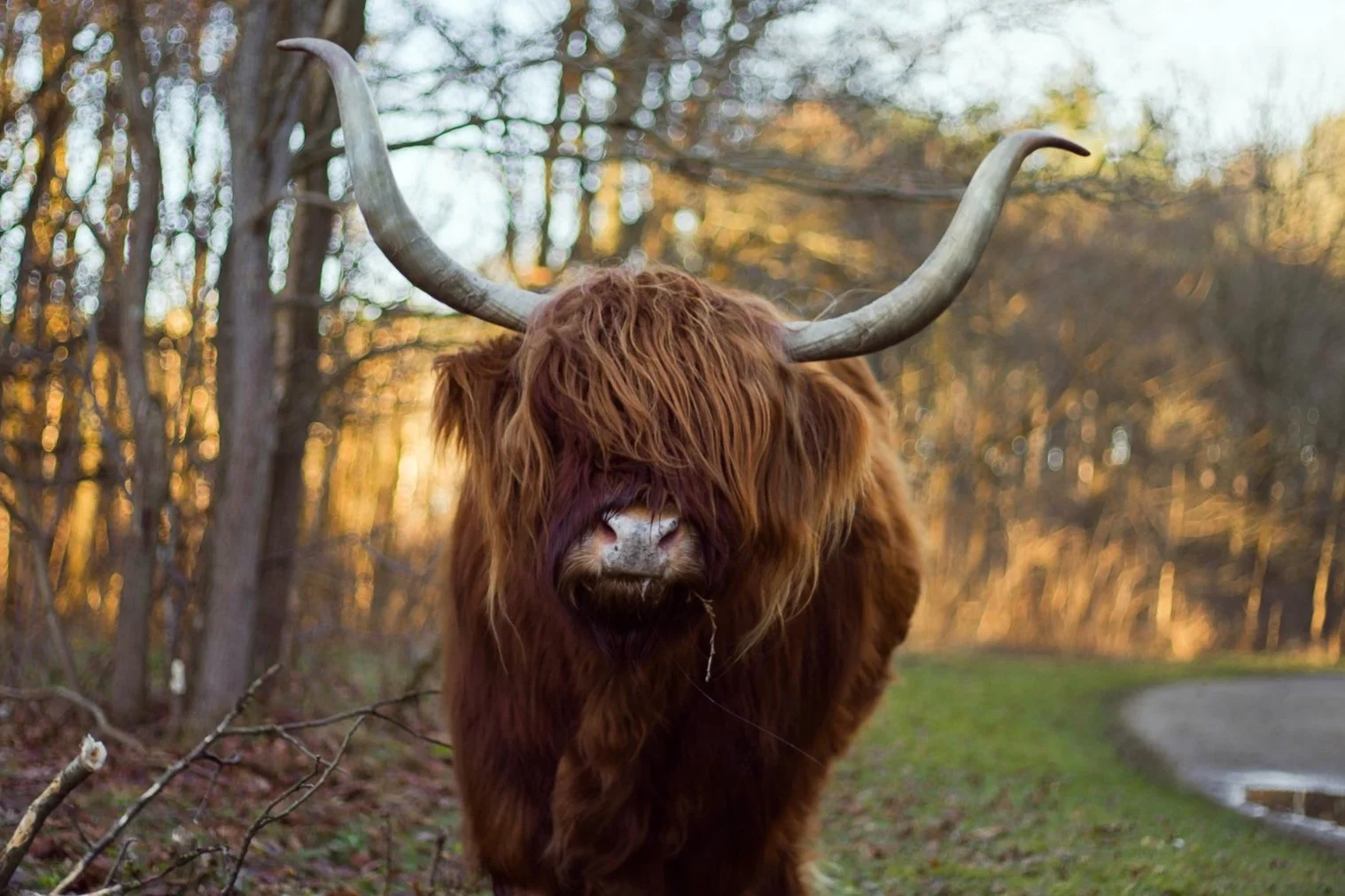 I'm so not finished yet