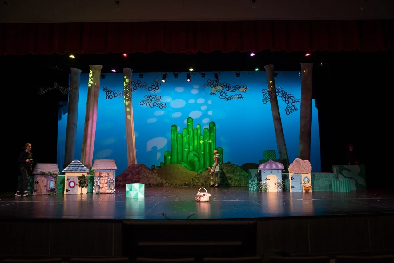 54349709504_b4daa90626_o Large.jpeg